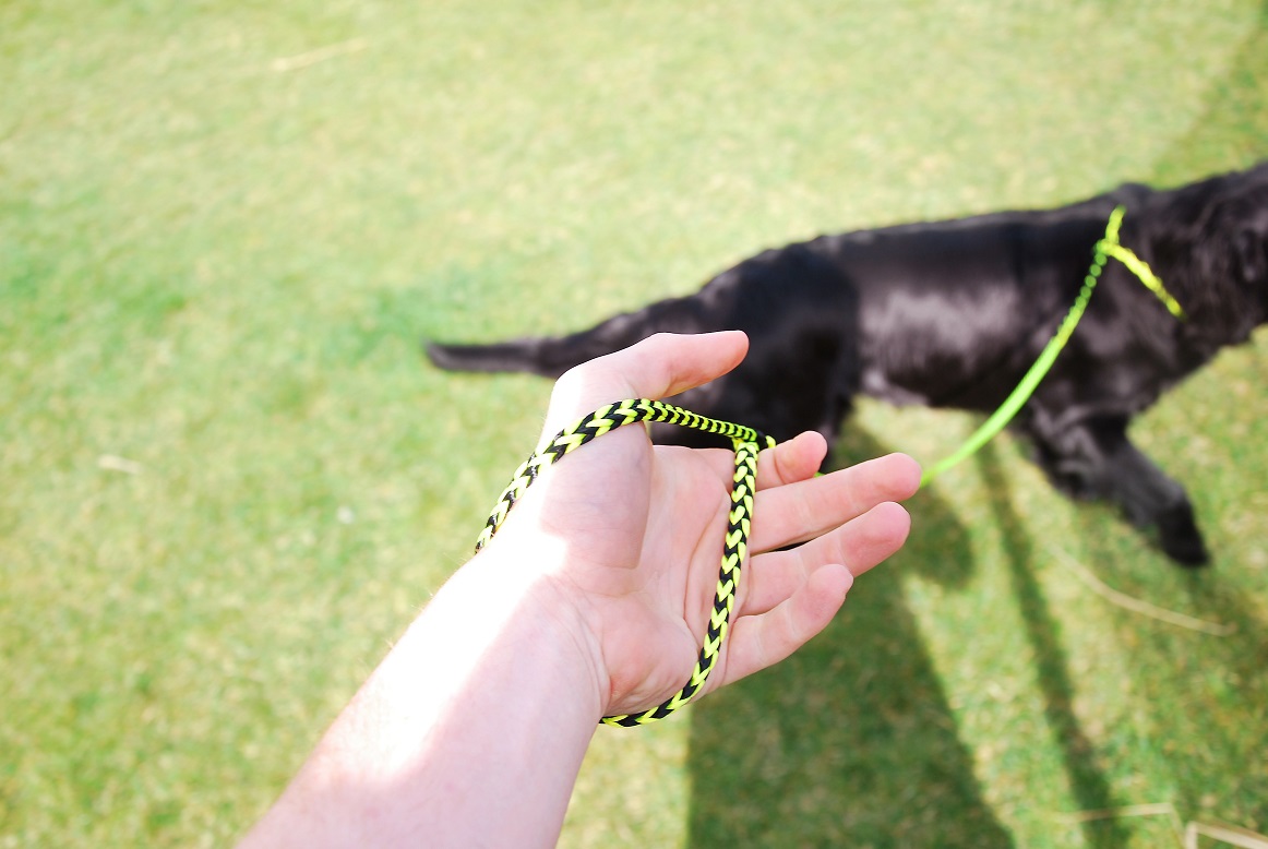 ΣΧΟΙΝΙ RUNLOCK THE DOG LEASH